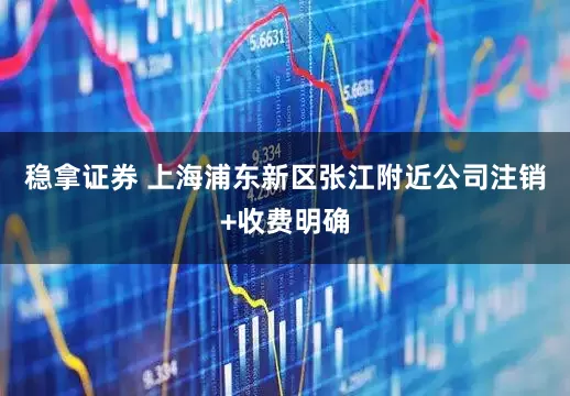 稳拿证券 上海浦东新区张江附近公司注销+收费明确