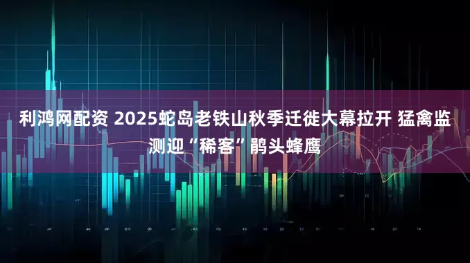 利鸿网配资 2025蛇岛老铁山秋季迁徙大幕拉开 猛禽监测迎“稀客”鹃头蜂鹰